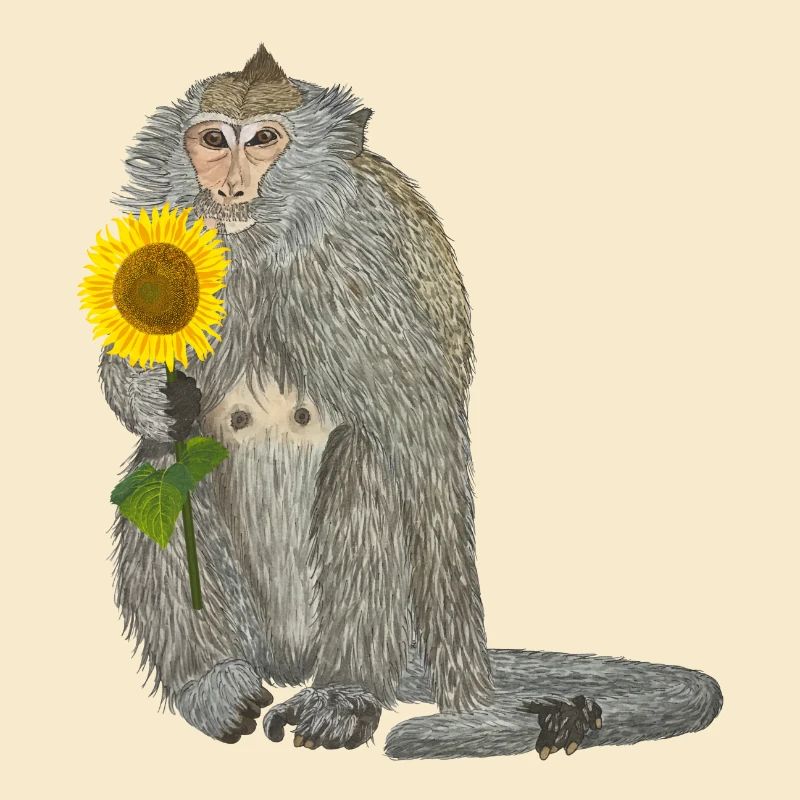 Affe Sonnenblume Makake