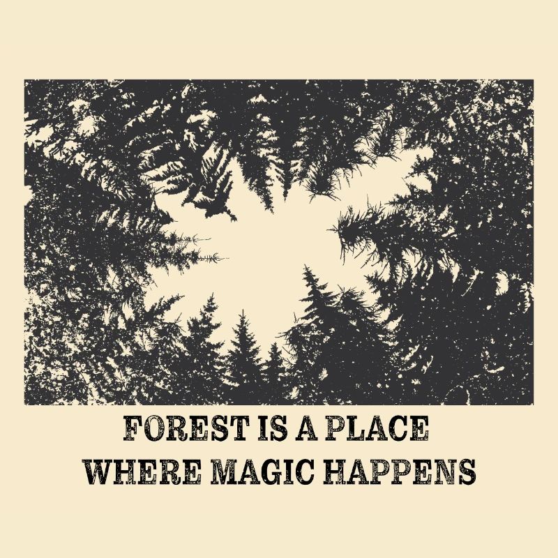 Magic Forest