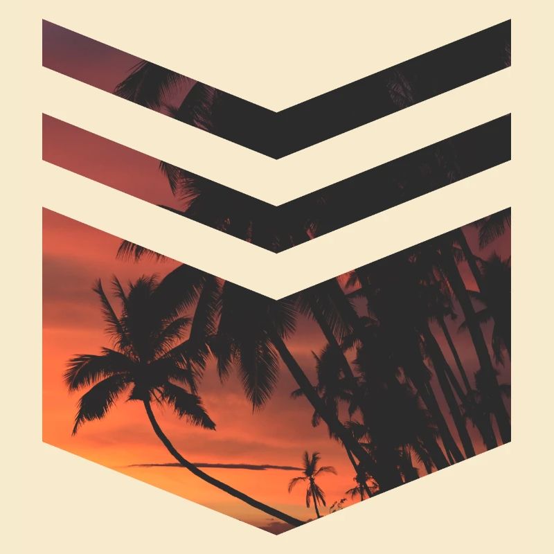 Palm Beach Triangle
