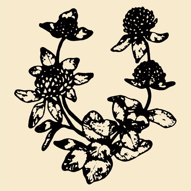RED CLOVER