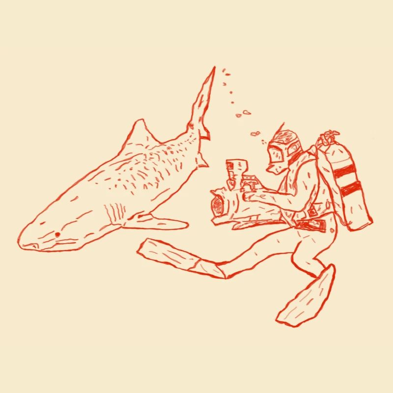 Shark with camera diver