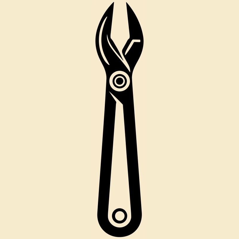 Pliers Tool