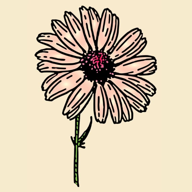 Blume