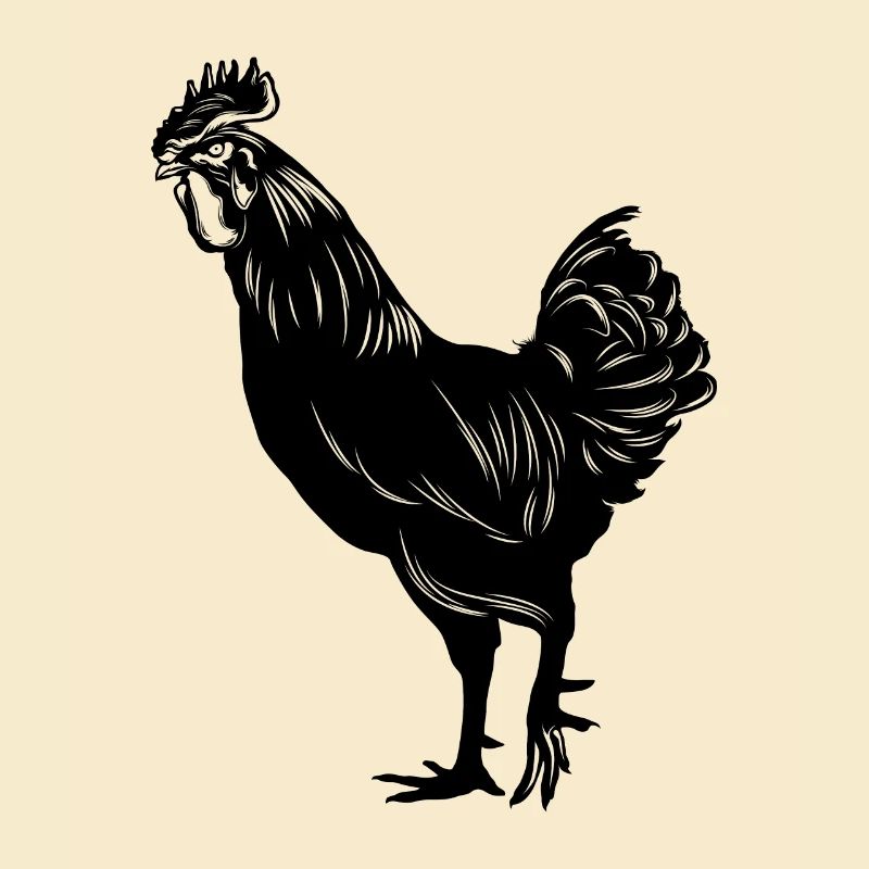 Huhn Chicken