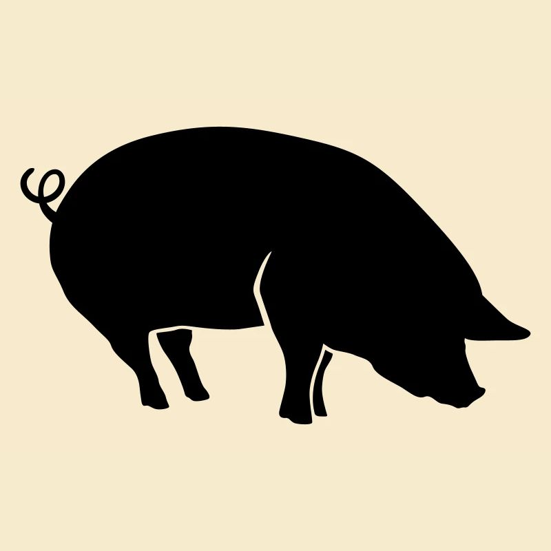 Schwein Tier