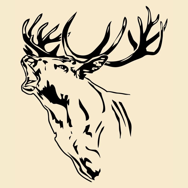 Hirsch - Geweih - Rotwild - Deer - Jagd