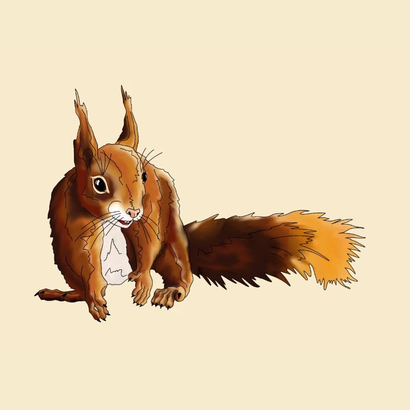 Eichhörnchen 5