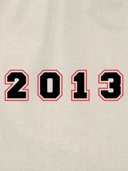 2013 Year Number