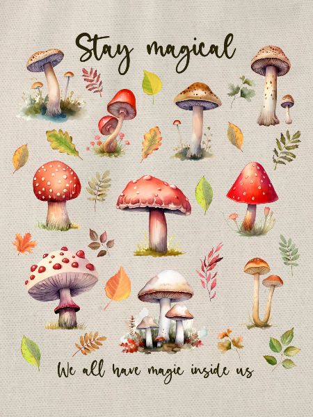Stay magical. Nature Lover.