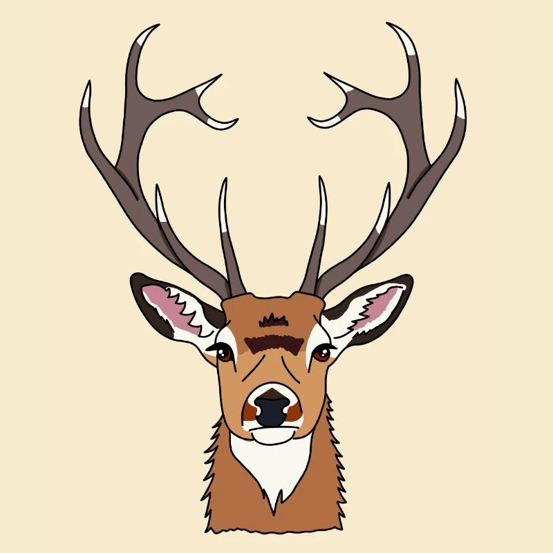 Hirsch
