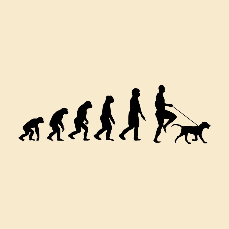 Labrador Evolution
