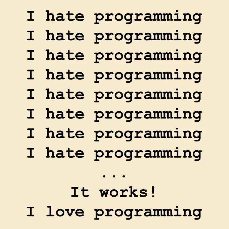 Developer computer scientist