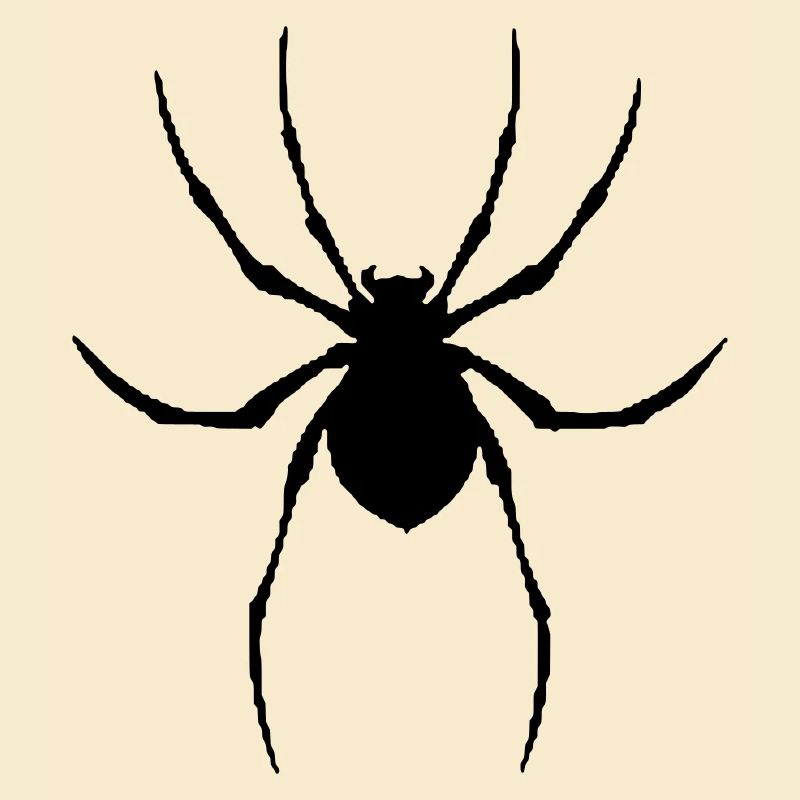 Spider graphique vectoriel