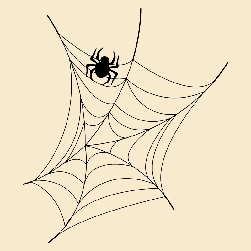 web spider