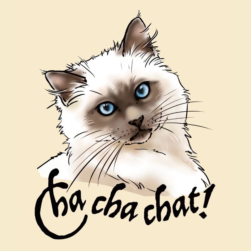 chat birman "Cha cha chat" (texte noir).