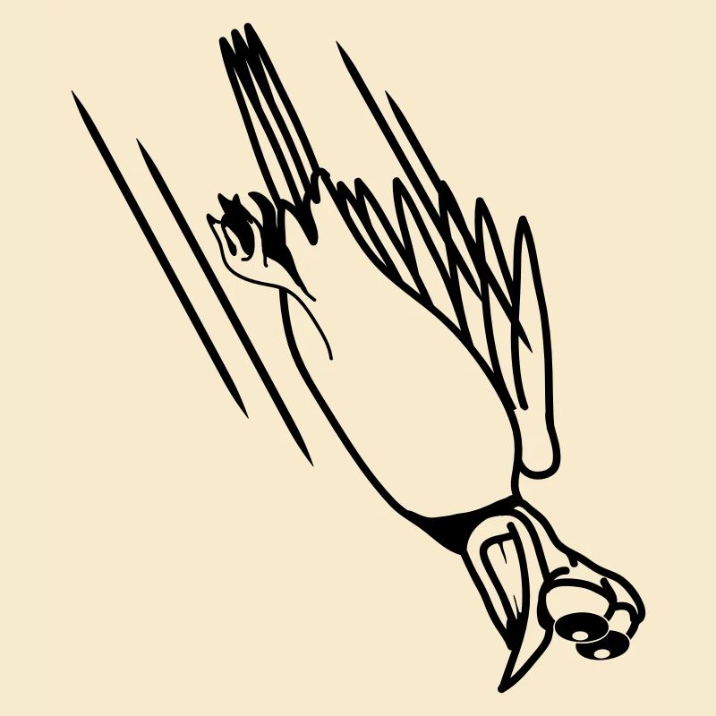 funny bird crash cool funny comic
