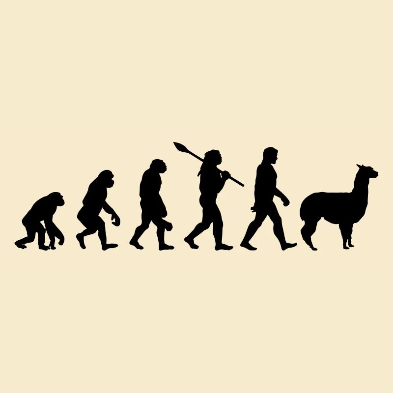 Evolution Alpaka lustig Geschenkidee Südamerika