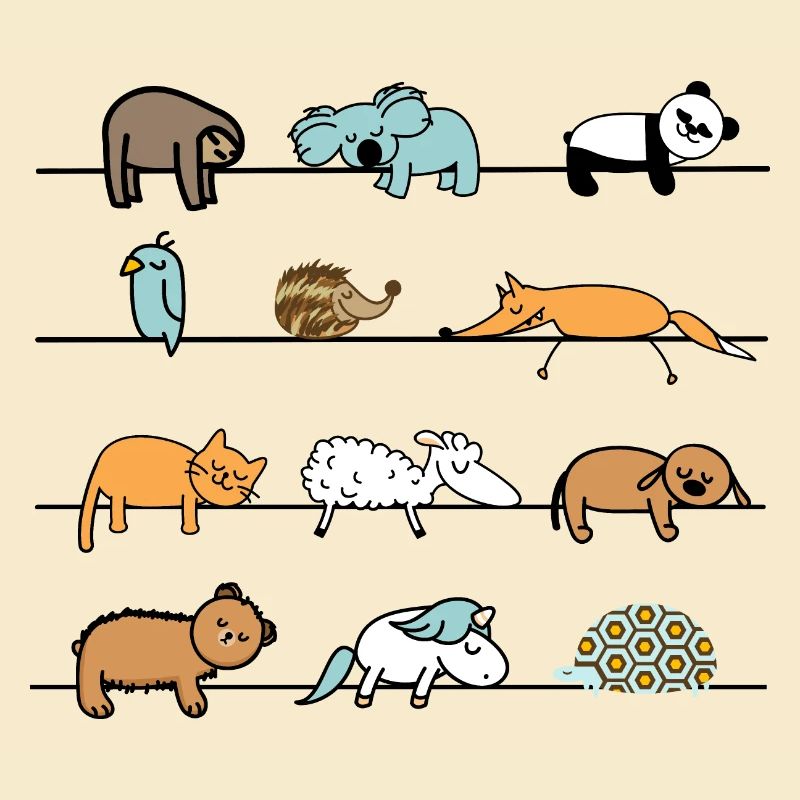 Funny Lazy Animals Sleep