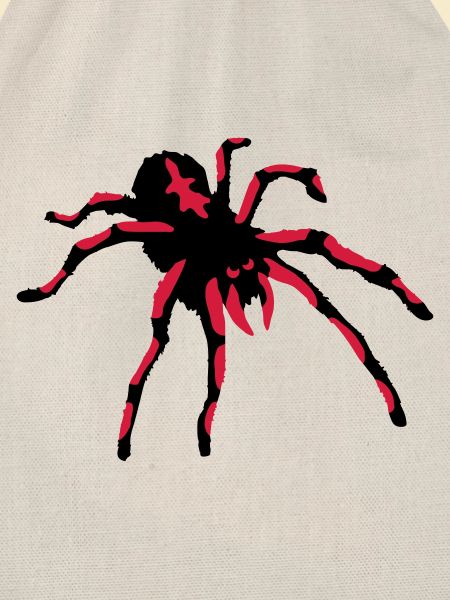 Tarantula Spider