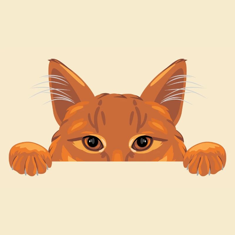 Peeking ginger cat