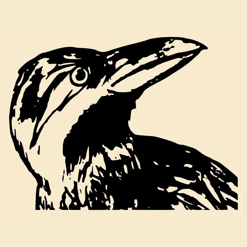 Raven