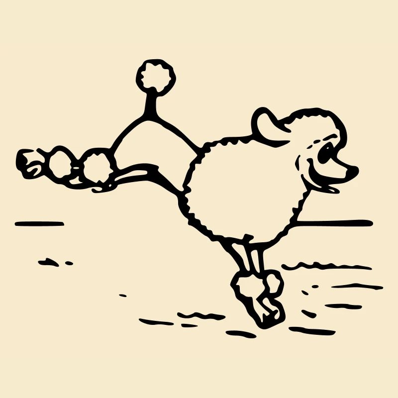 A poodle