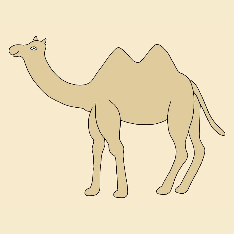 Einsames Kamel