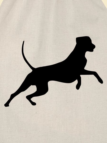 rhodesian_ridgeback_cb