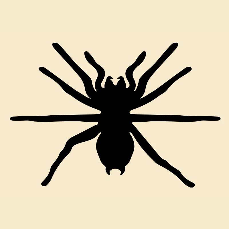 spinne
