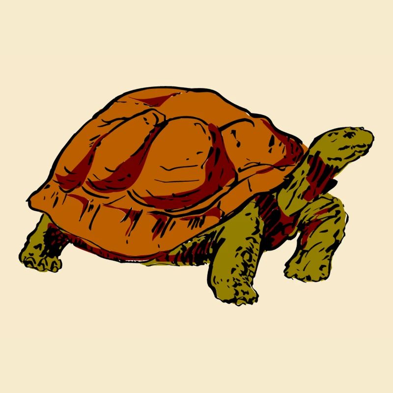 Schildkröte