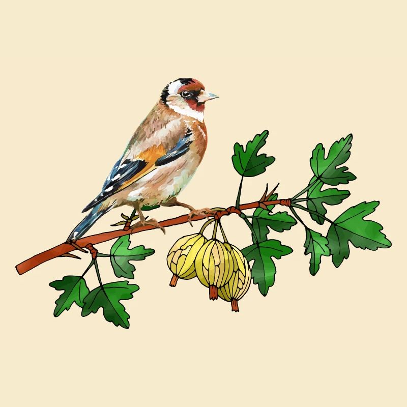 Vogel