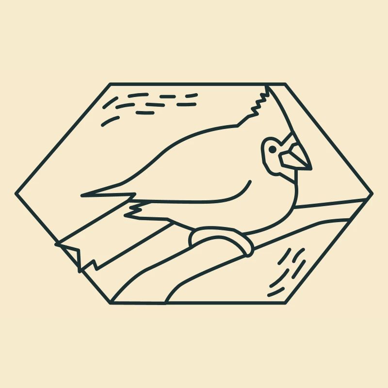 Diamant Kardinalvogel