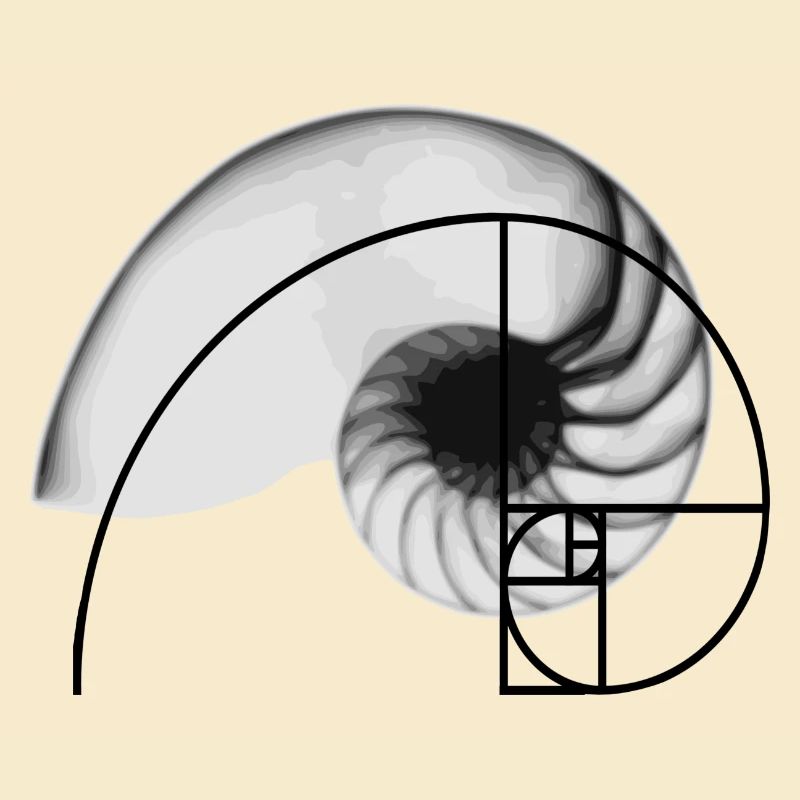 Geometric pattern Fibonacci sequence