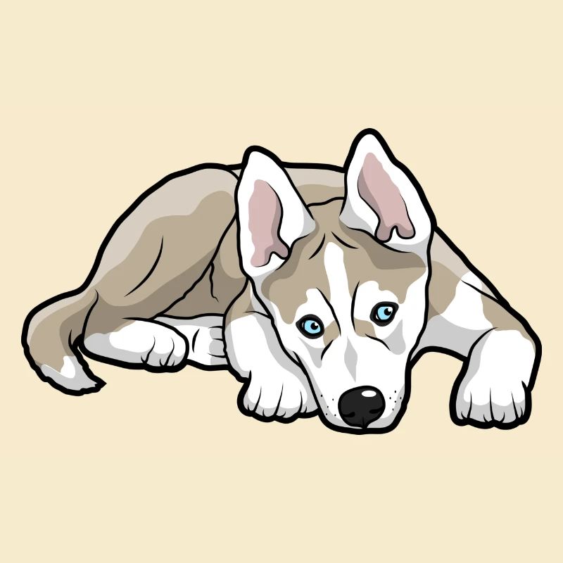 Siberian Husky Dog