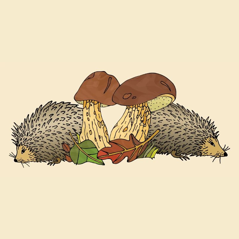 Hedgehogs
