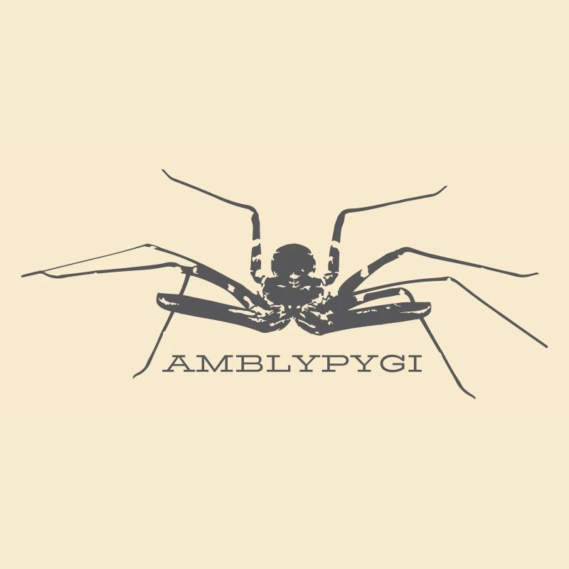 Geißelspinne - Amblypygi