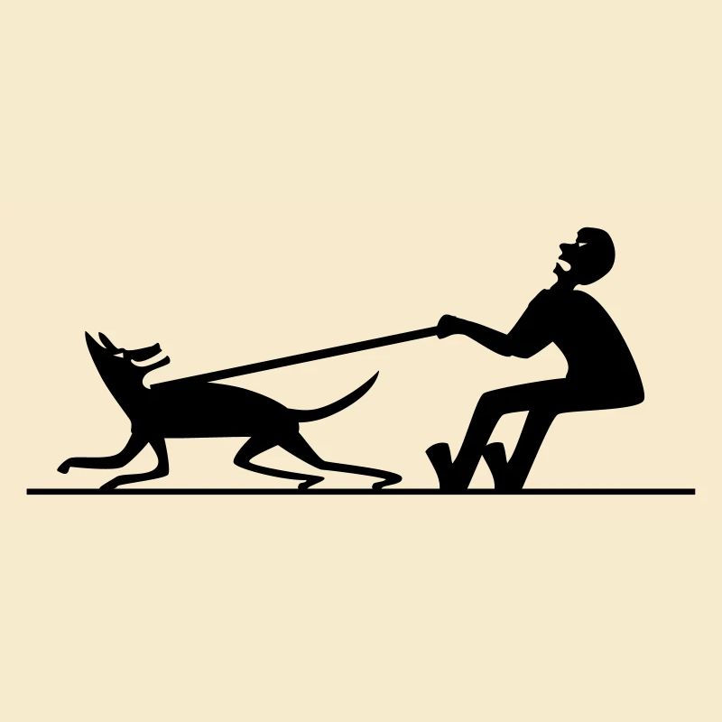 Hund zieht Mann 2