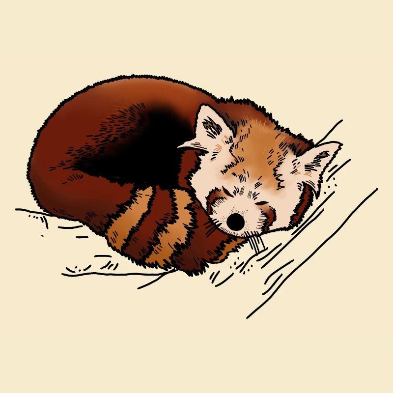Red panda