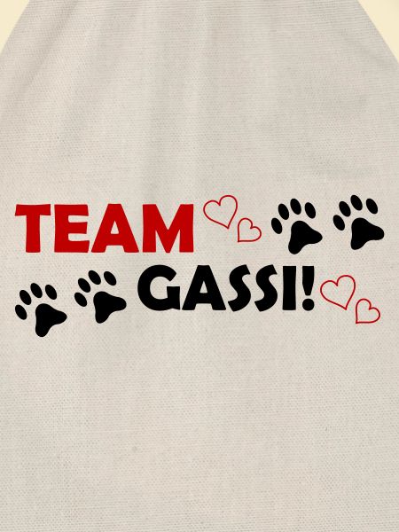 Team Gassi