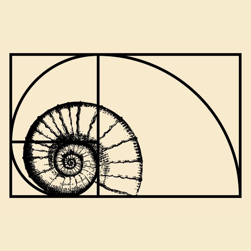 Fibonacci Sequenz Goldener Schnitt