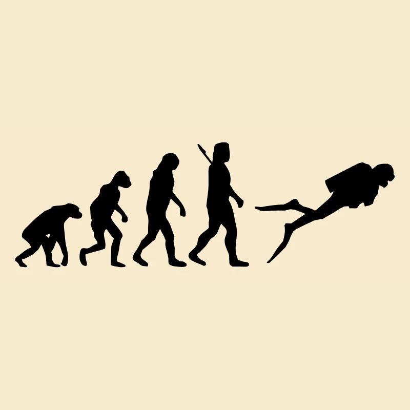 Evolution Tauchen