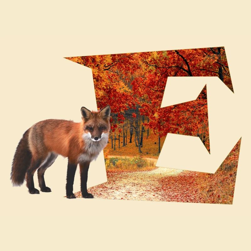 e herbstwald mit fuchs