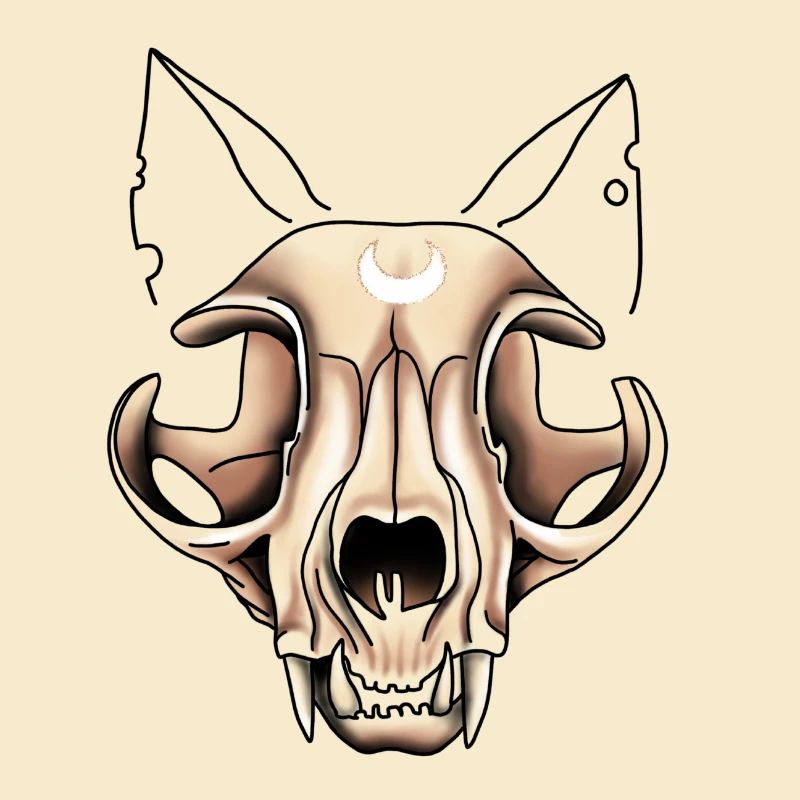 Cat Skull
