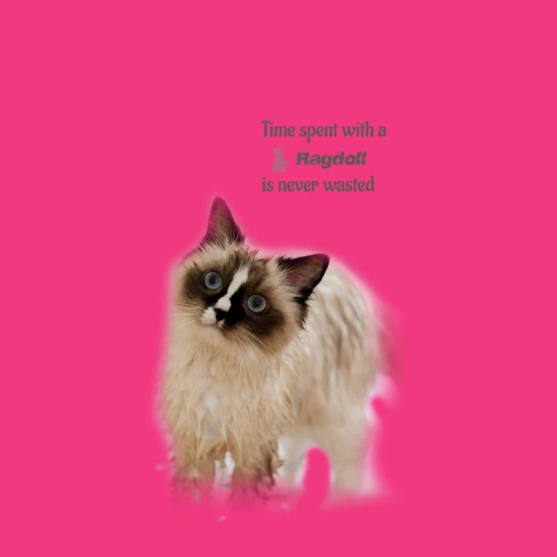 Time spent with a Ragdoll - Geschenkidee