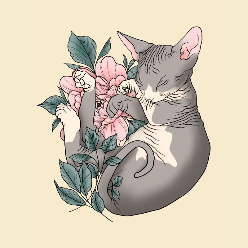 Shpynx Cat