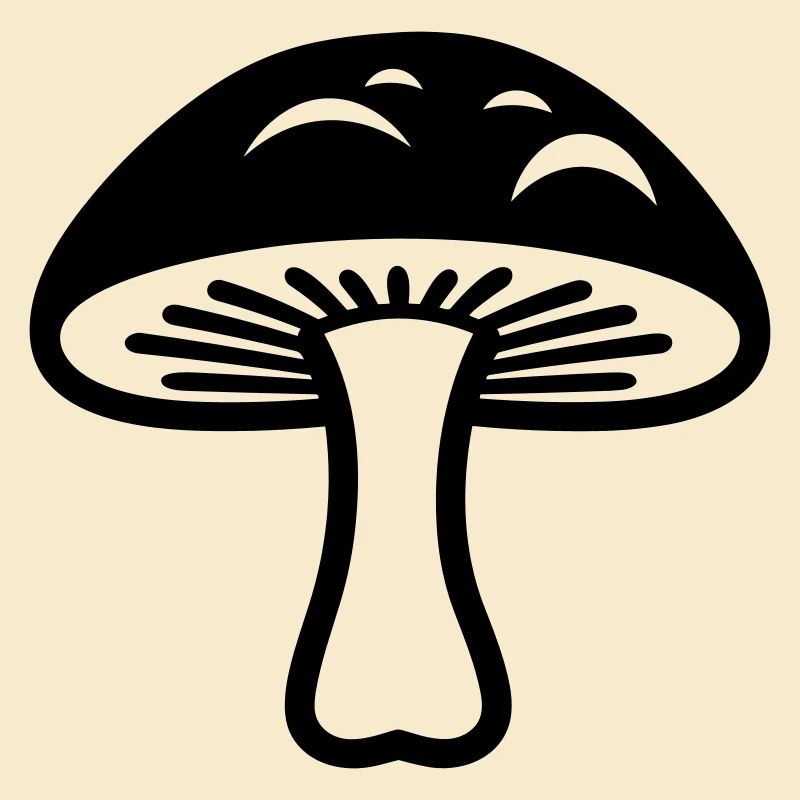 Pilz