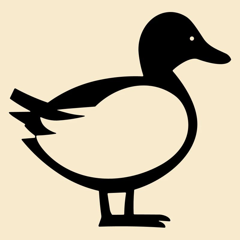 canard