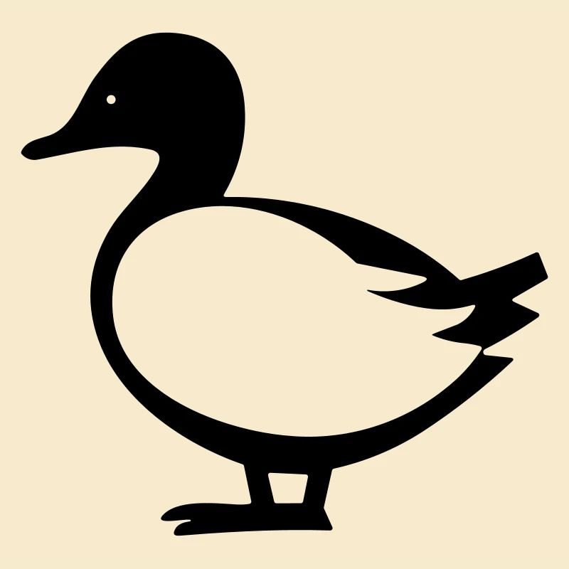 canard