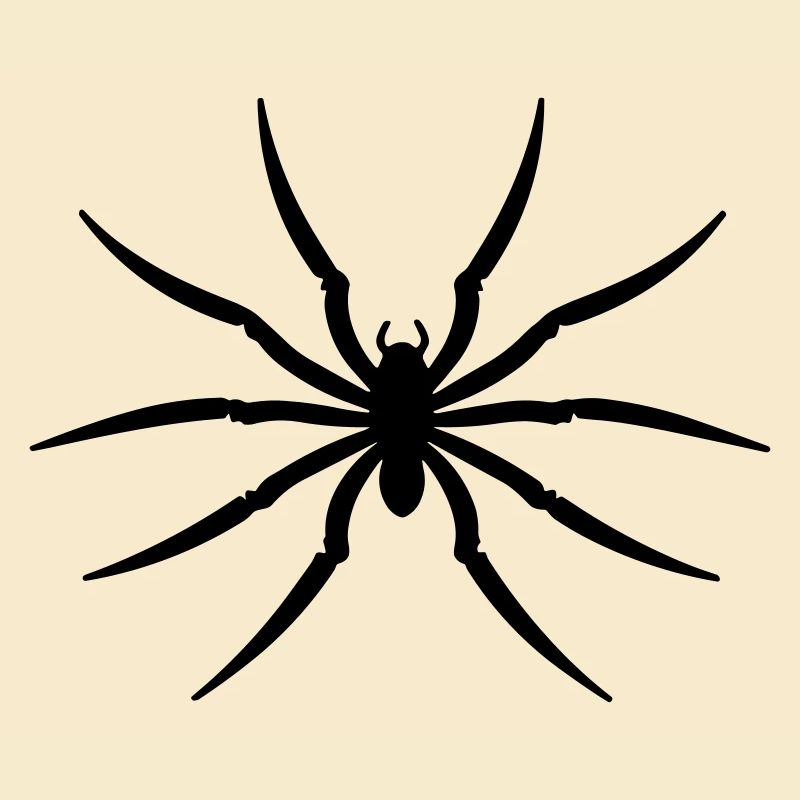 Spinne