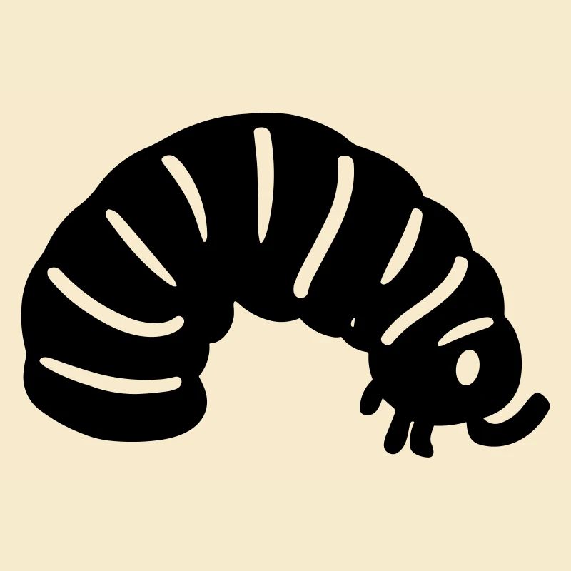 Raupe